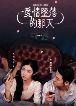 [国产剧]《爱情坠落的那天》[2025年][夸克网盘][中文字幕]-抱布贸丝影视资源网