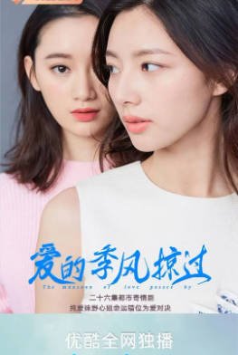 [国产剧]《爱的季风掠过》[2025年][夸克网盘][中文字幕]-抱布贸丝影视资源网