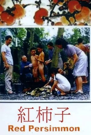台湾电影《红柿子》[1997年][家庭][夸克网盘][中文字幕]豆瓣8.9-抱布贸丝影视资源网