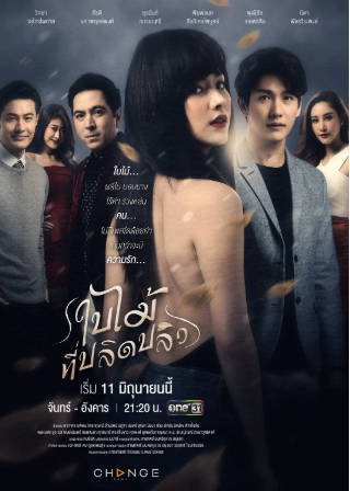 泰剧《吹落的树叶》[2019年][爱情/同性][夸克网盘][中文字幕]-抱布贸丝影视资源网