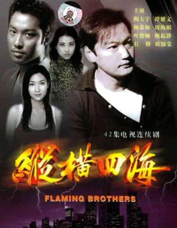 港剧《纵横四海》[1999年][爱情/犯罪][夸克网盘]-抱布贸丝影视资源网