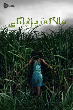 加拿大电影《高草丛中》[2019年][惊悚/恐怖][夸克网盘][中文字幕]-抱布贸丝影视资源网