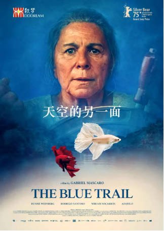 巴西电影《天空的另一面》[2025年][奇幻冒险][夸克网盘][中文字幕]-抱布贸丝影视资源网