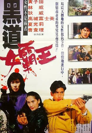 香港电影《黑道女霸王》[1992年][动作][夸克网盘][中文字幕]-抱布贸丝影视资源网