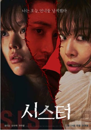 韩国电影《姐妹》[2026年][惊悚][夸克网盘][中文字幕]-抱布贸丝影视资源网