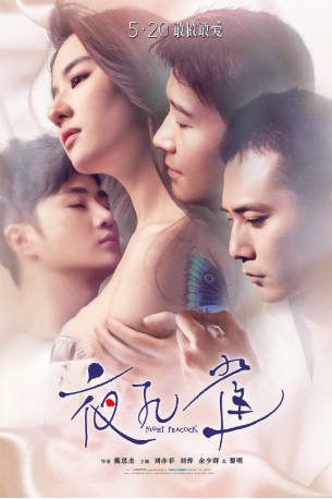 国产电影《夜孔雀》[2016年][剧情爱情][夸克网盘]主演: 刘亦菲/刘烨-抱布贸丝影视资源网