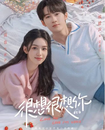 国产剧《很想很想你》[2023年][剧情爱情][夸克网盘]-抱布贸丝影视资源网