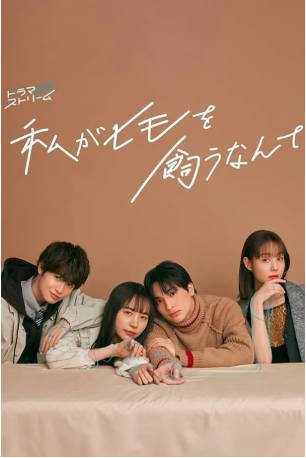 日剧《我竟然养了个小白脸》[2023年][夸克网盘][中文字幕]-抱布贸丝影视资源网