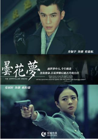 国产剧《昙花梦》[2015年][剧情悬疑][夸克网盘]-抱布贸丝影视资源网