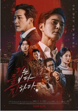 韩国电影《血浓于水》[2022年][动作][夸克网盘][中文字幕]-抱布贸丝影视资源网