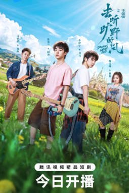 国产剧《去听旷野的风》[2026年][夸克网盘]-抱布贸丝影视资源网