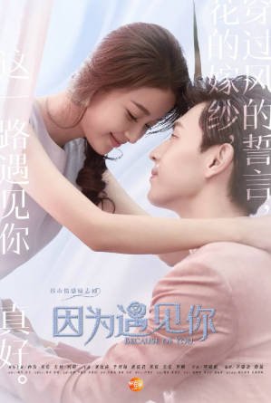国产剧《因为遇见你》[2017年][剧情爱情][夸克网盘]主演: 孙怡/邓伦-抱布贸丝影视资源网