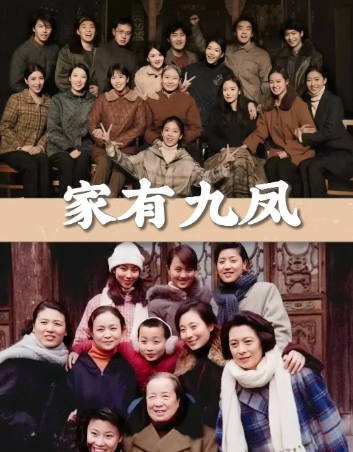 国产剧《家有九凤》[2005年][爱情家庭][夸克网盘]-抱布贸丝影视资源网