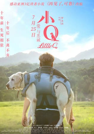 国产电影《小Q》[2019年][夸克网盘]主演: 任达华/梁咏琪-抱布贸丝影视资源网
