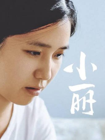 国产电影《小丽》[2025年][夸克网盘]-抱布贸丝影视资源网