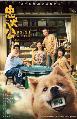 国产电影《忠犬八公》[2023年][夸克网盘]主演: 大黄/冯小刚-抱布贸丝影视资源网