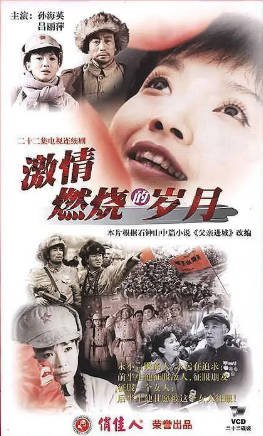 国产剧《激情燃烧的岁月》[共4季][2001-2013年][家庭战争][夸克网盘]-抱布贸丝影视资源网
