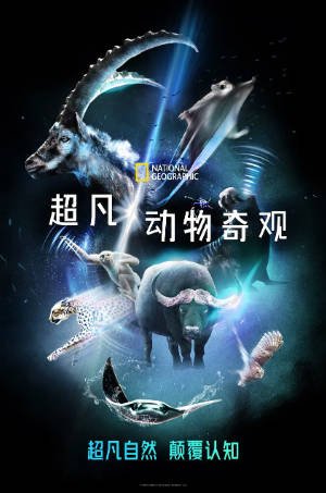 美国纪录片《超凡动物奇观》[共2季][2022-2023年][夸克网盘][中文字幕]-抱布贸丝影视资源网