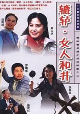 国产剧《辘轳·女人和井》[1991年][夸克网盘]-抱布贸丝影视资源网