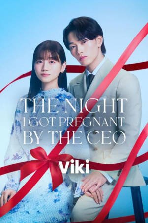日剧《那一夜，我怀了社长的孩子》[2026年][夸克网盘][中文字幕]-抱布贸丝影视资源网