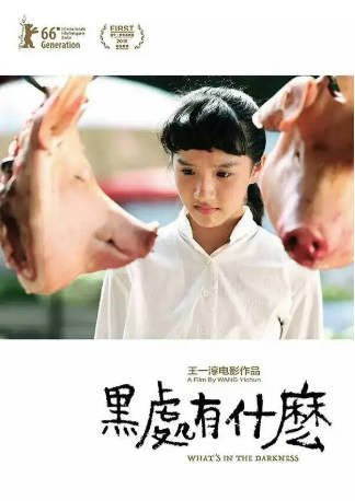 国产电影《黑处有什么》[2015年][悬疑犯罪][夸克网盘]-抱布贸丝影视资源网