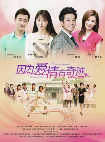 国产剧《因为爱情有奇迹》[2014年][爱情家庭][夸克网盘]-抱布贸丝影视资源网