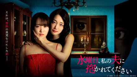 日剧《星期三，请让我丈夫拥抱你 水曜日》[2026年][剧情爱情][夸克网盘][中文字幕]-抱布贸丝影视资源网