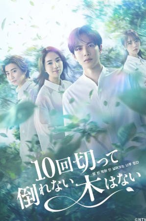 日剧《没有砍十次还不倒的树》[2026年][爱情][夸克网盘][中文字幕]-抱布贸丝影视资源网