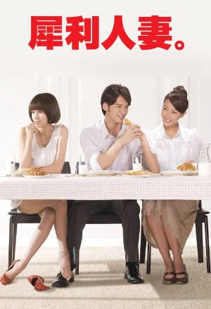 台湾剧《犀利人妻》[2010年][夸克网盘][中文字幕]-抱布贸丝影视资源网