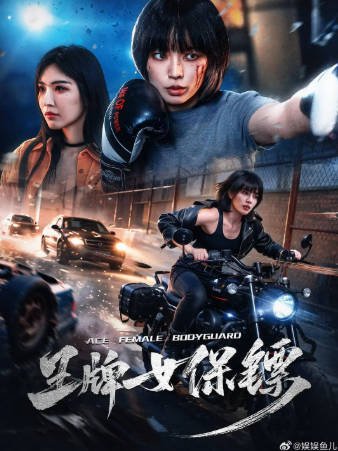 国产电影《王牌女保镖》[2026年][动作冒险][夸克网盘]-抱布贸丝影视资源网