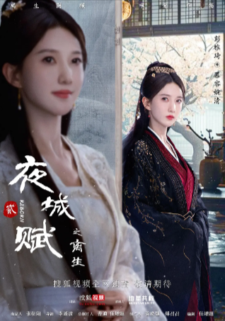 国产剧《夜城赋之离生》[2024年][爱情 古装][夸克网盘]-抱布贸丝
