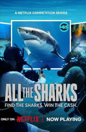 《众里寻鲨：拍摄大作战》[2025年][真人秀][夸克网盘]中英双字-抱布贸丝