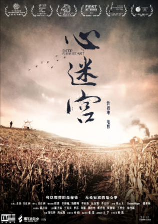 国产电影《心迷宫》[2014年][悬疑/犯罪][夸克网盘][豆瓣8.7]-抱布贸丝