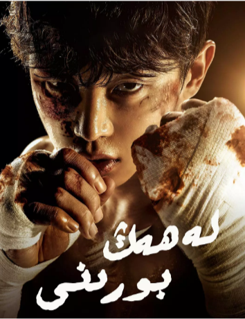 韩剧《鲨鱼：风暴》[2025年][动作][夸克网盘][中文字幕][豆瓣5.8]-抱布贸丝