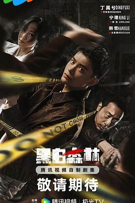 国产剧《黑白森林》[2024年][悬疑/犯罪][夸克网盘]主演: 丁禹兮 / 宁理 / 韩雪-抱布贸丝