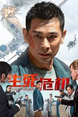 国产电影《生死危机》[2025年][动作/犯罪][夸克网盘]主演: 赵文卓 / 赵子琪-抱布贸丝