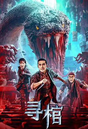 国产电影《寻棺》[2025年][动作/冒险][夸克网盘]-抱布贸丝