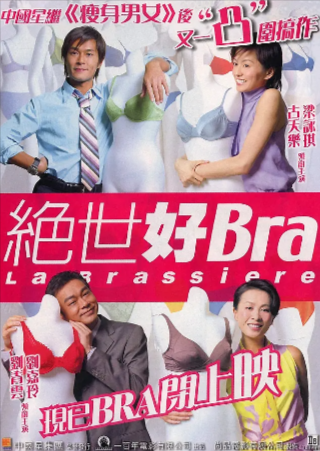 香港喜剧电影《绝世好Bra》[2001年][喜剧/爱情][夸克网盘][中文字幕]-抱布贸丝