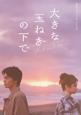 日本电影《在巨大的洋葱之下》[2025年][爱情][夸克网盘][中文字幕]-抱布贸丝