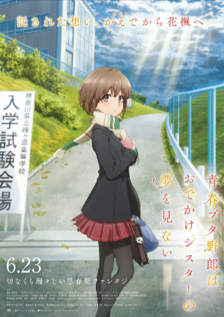 日漫《青春期猪头少年不会梦到娇怜外出妹》[2023年][动画][夸克网盘][中文字幕]-抱布贸丝