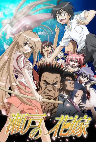 日漫《濑户的花嫁》[2007年][动画][夸克网盘][中文字幕]-抱布贸丝