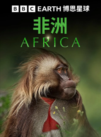英国纪录片《非洲》[2013年][夸克网盘][中文字幕]豆瓣9.7-抱布贸丝