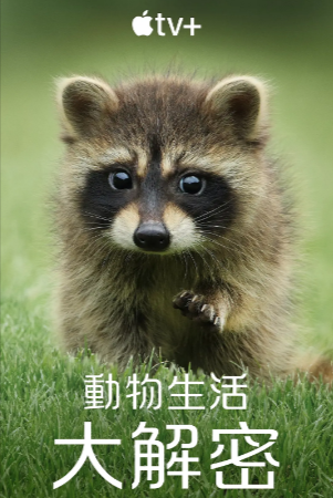 美国纪录片《动物的秘密生活》[2024年][夸克网盘][中文字幕]豆瓣8.7-抱布贸丝