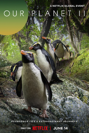 英国纪录片《我们的星球》[共2季][2019-2023年][夸克网盘][中文字幕]豆瓣9.2-抱布贸丝