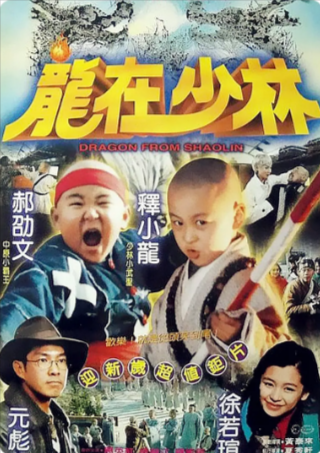 香港喜剧电影《龙在少林》[1996年][动作儿童][夸克网盘]-抱布贸丝
