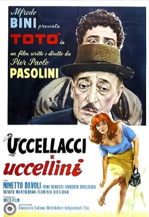 意大利电影《大鸟和小鸟》[1966年][喜剧/奇幻][夸克网盘][中文字幕]-抱布贸丝