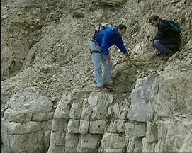 纪录片《BBC 地平线:地球劫难日》[2002年][夸克网盘][中文字幕]-抱布贸丝