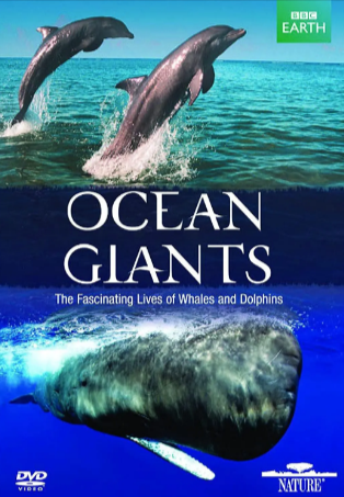 英国纪录片《海洋巨兽》[2011年][夸克网盘][中文字幕]豆瓣9.2-抱布贸丝
