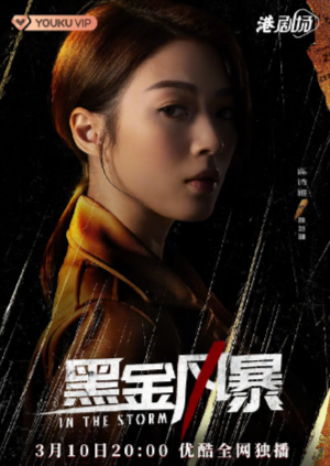 国产剧《黑金风暴》[2022年][动作犯罪][夸克网盘]-抱布贸丝