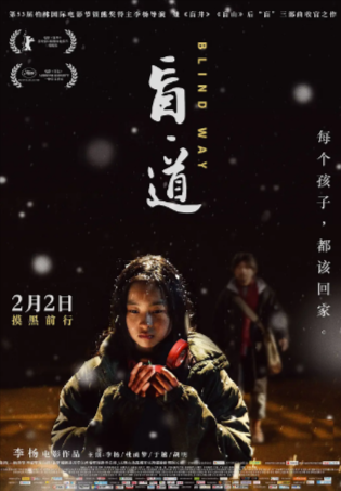 国产电影《盲·道》[2017年][犯罪][夸克网盘]-抱布贸丝